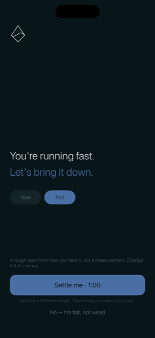 The read screen: “You're running fast. Let's bring it down.” with a slow/fast toggle and a button reading “Settle me · 1:00”.