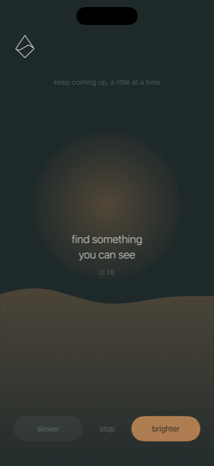 A Neaptide surface session: a warm ochre screen reading “find something you can see”, with the words “keep coming up, a little at a time” above the timer.